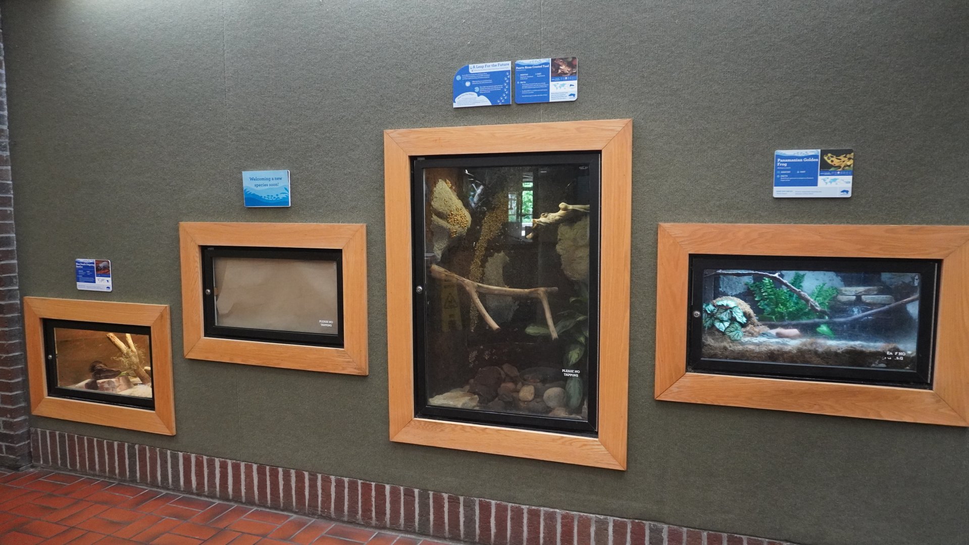 May. 2025 - Discovery Center - 3 Wall Exhibits