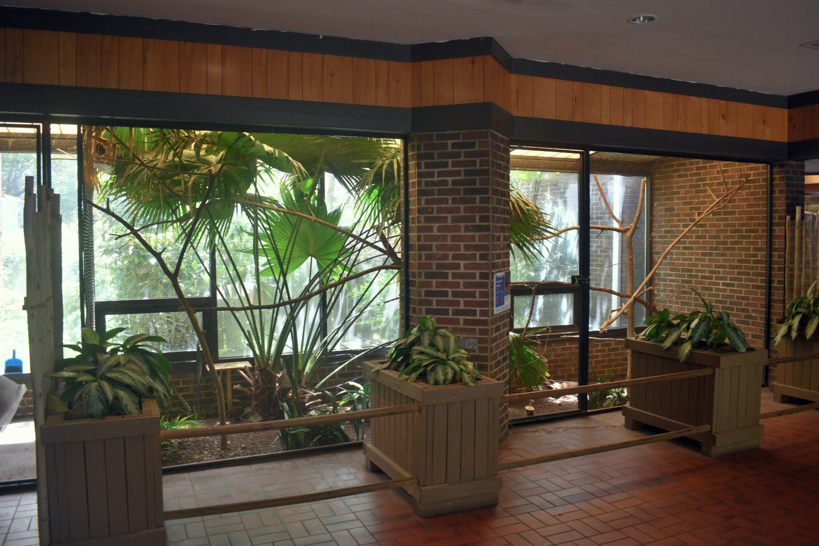 May. 2025 - Discovery Center - Crested Wood Partridge Exhibit