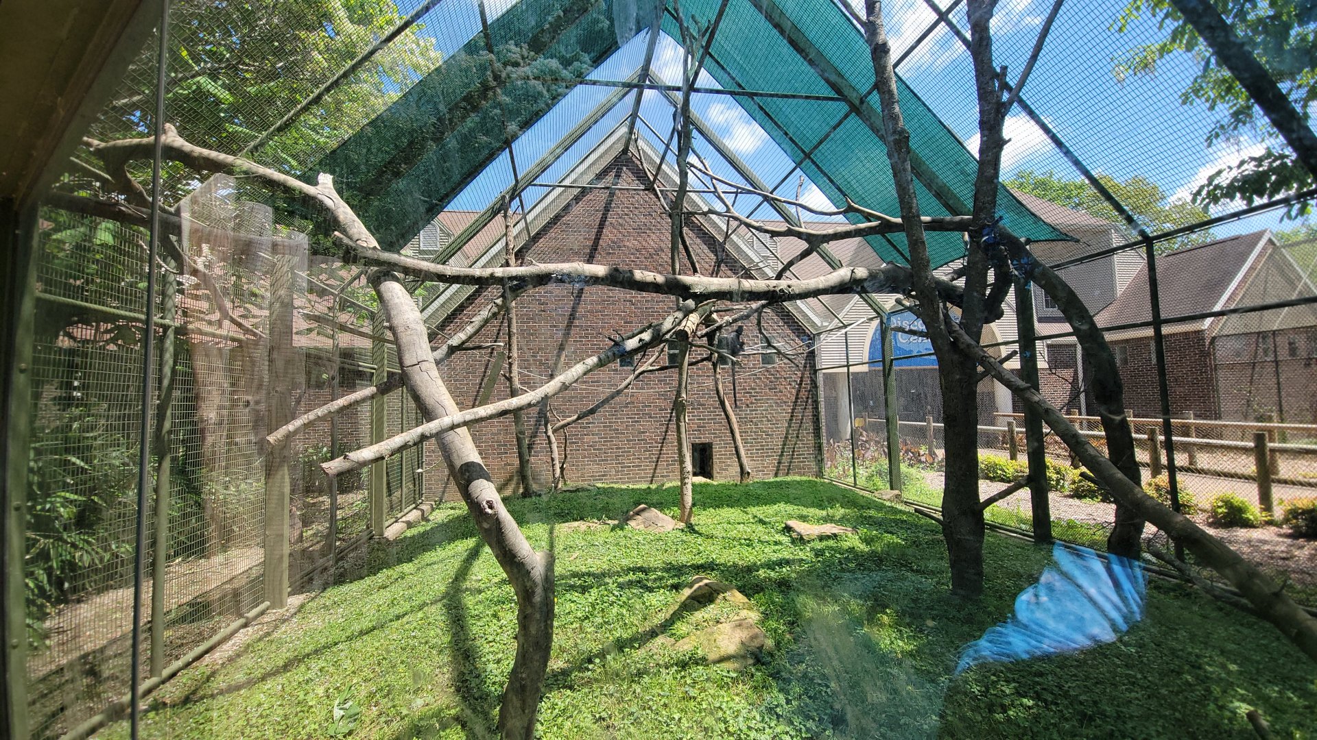 May. 2025 - Discovery Center - Francois' Langur Outdoor Exhibit