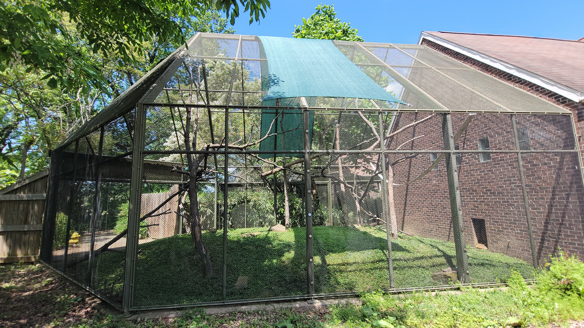 May. 2025 - Discovery Center - Francois' Langur Outdoor Exhibit