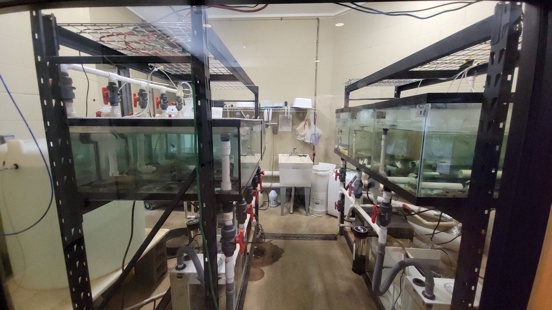 May. 2025 - Discovery Center - Hellbender Center