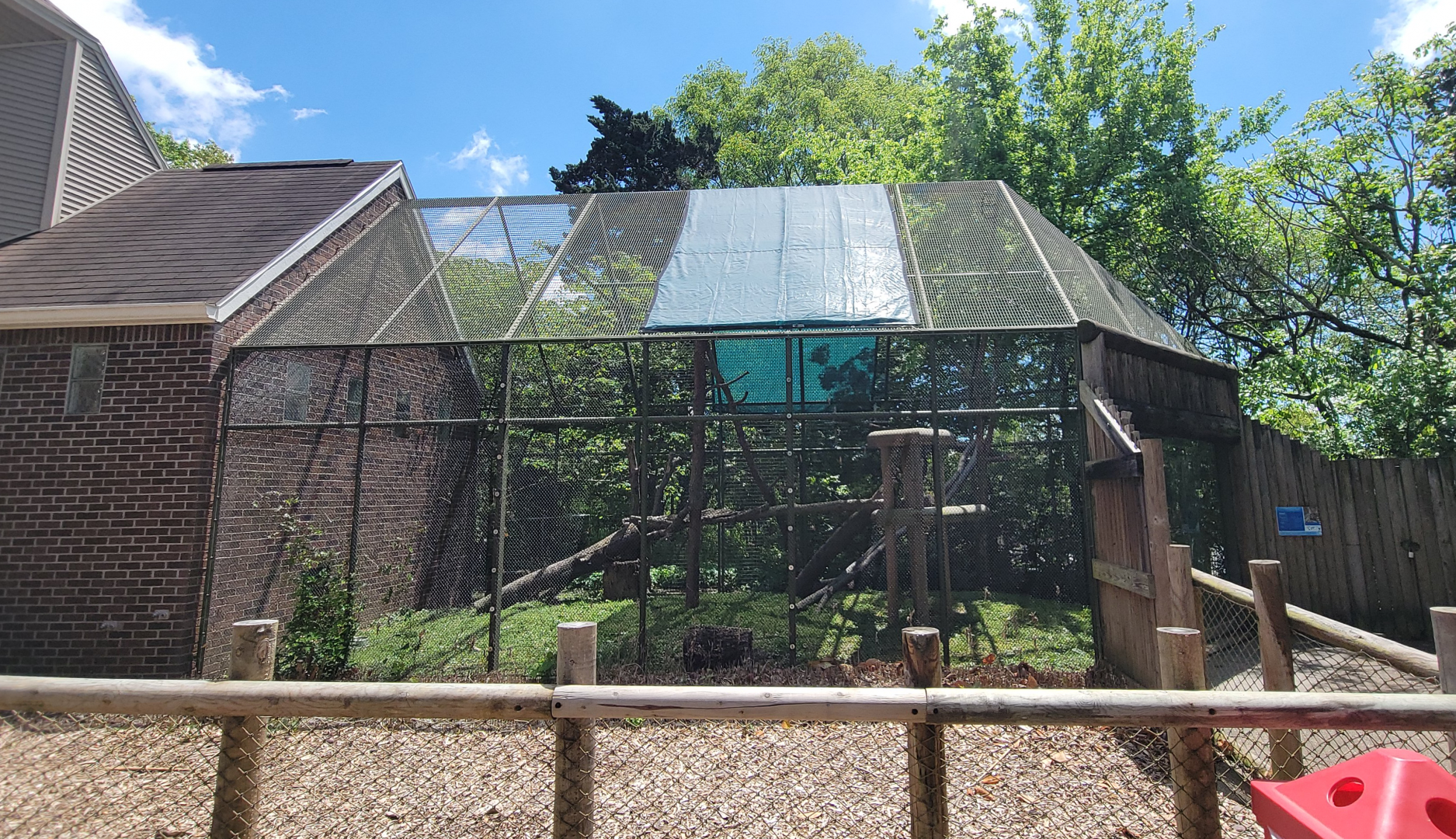 May. 2025 - Discovery Center - Ocelot Outdoor Exhibit