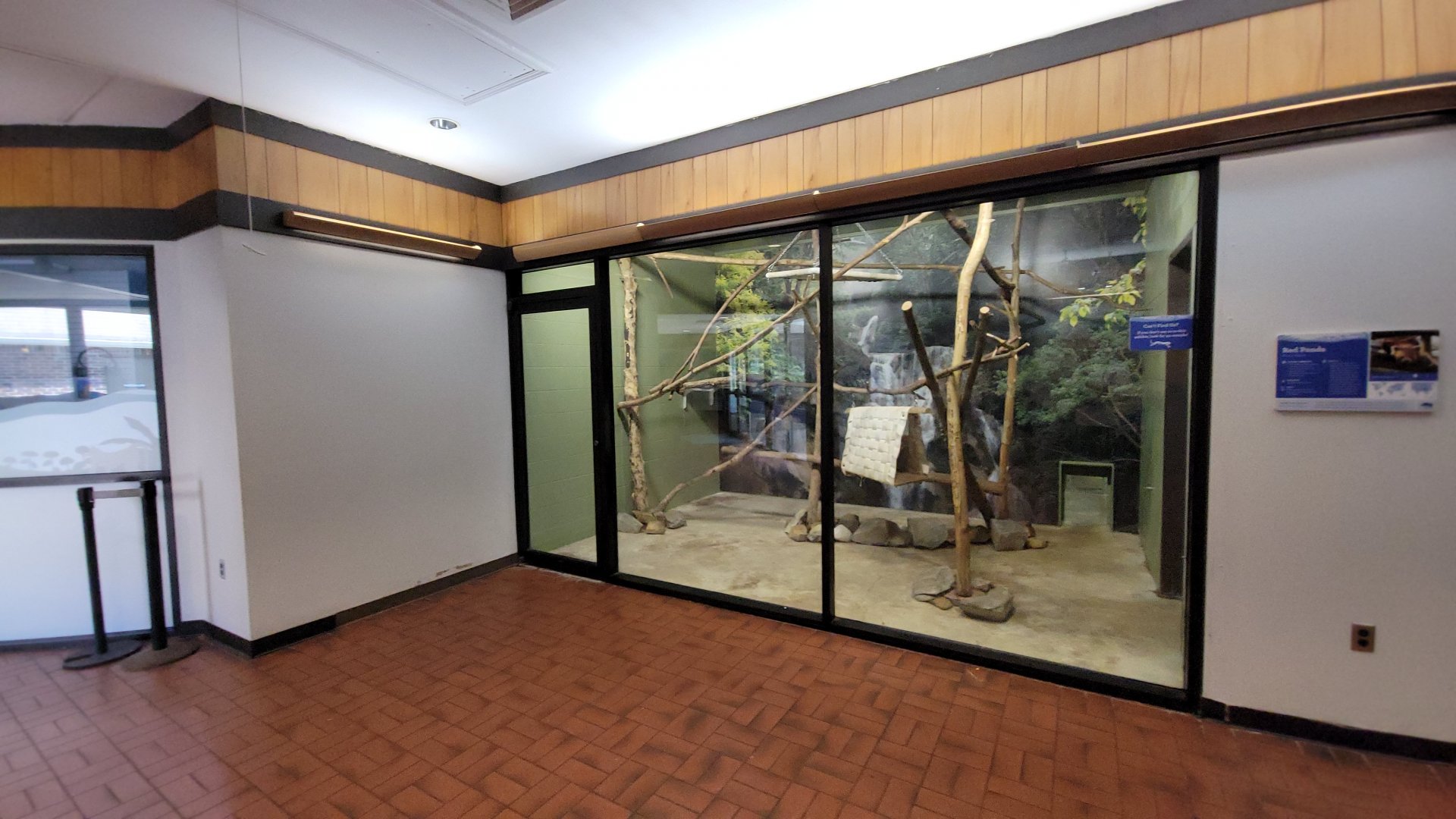 May. 2025 - Discovery Center - Red Panda Indoor Exhibit