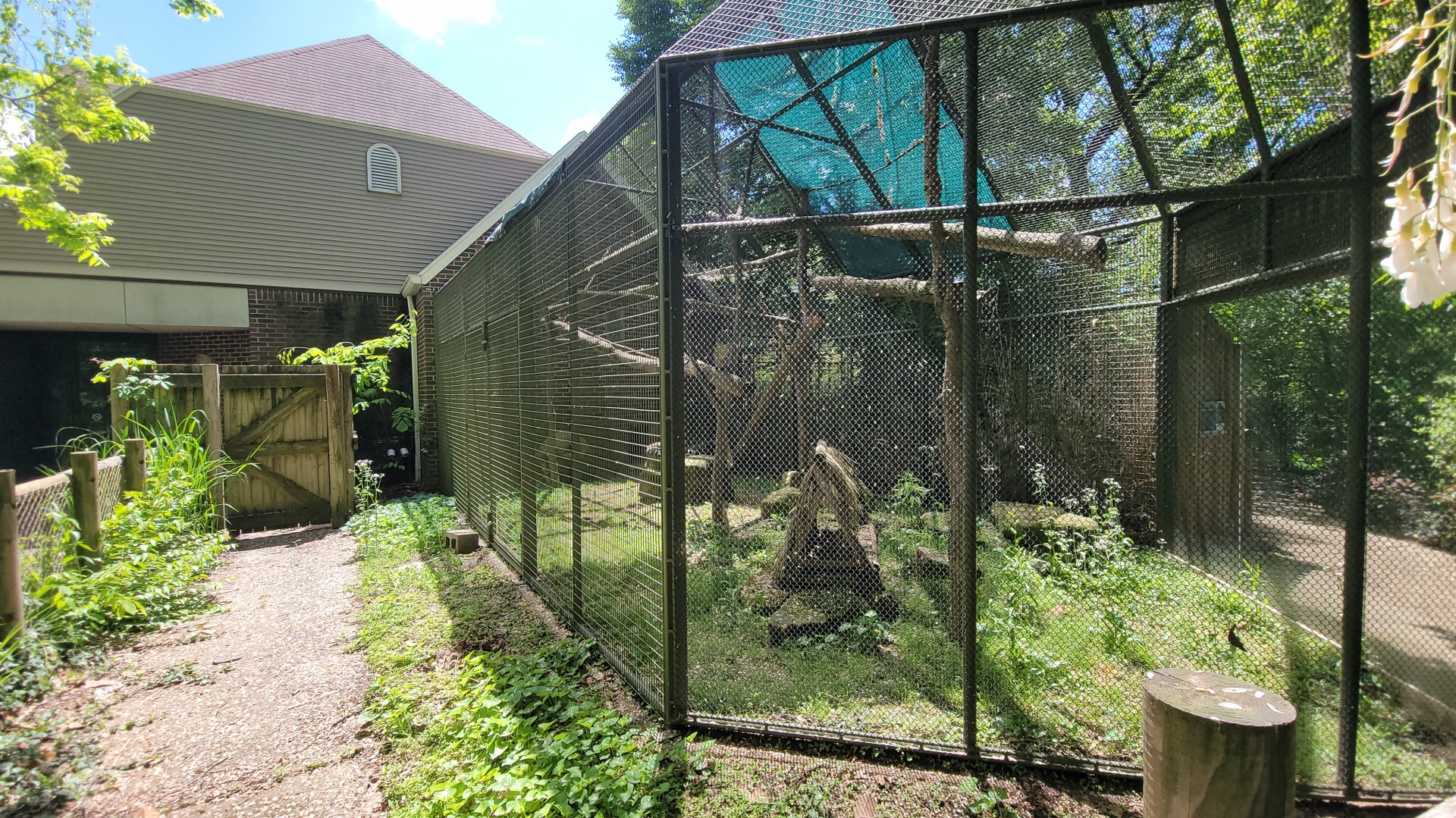 May. 2025 - Discovery Center - Ring-tailed Lemur Exhibit