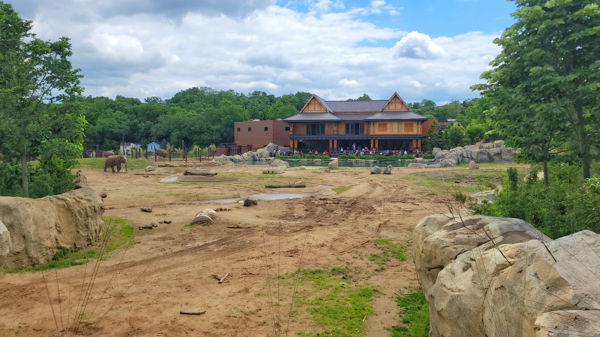 May. 2025 - Elephant Trek - Main Elephant Yard (6x More Space)