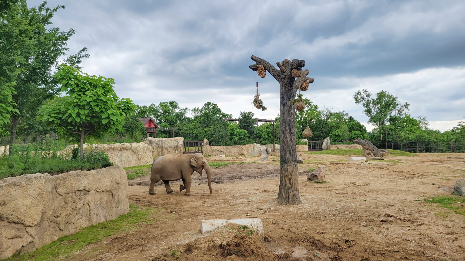 May. 2025 - Elephant Trek - Main Elephant Yard