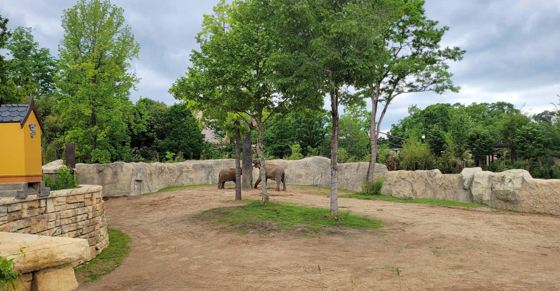 May. 2025 - Elephant Trek - Main Elephant Yard