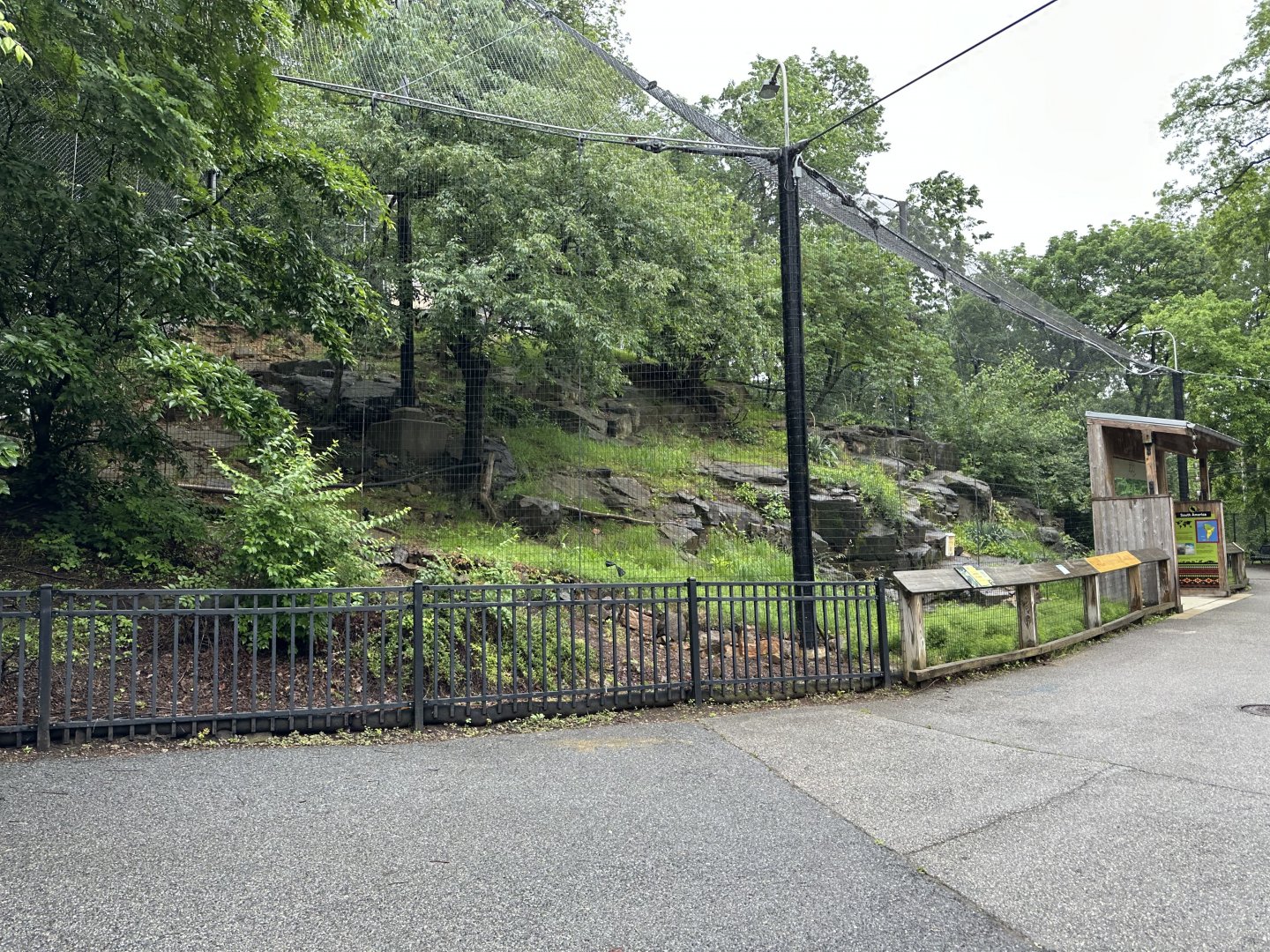 May 2025 - (Empty) Condor Aviary