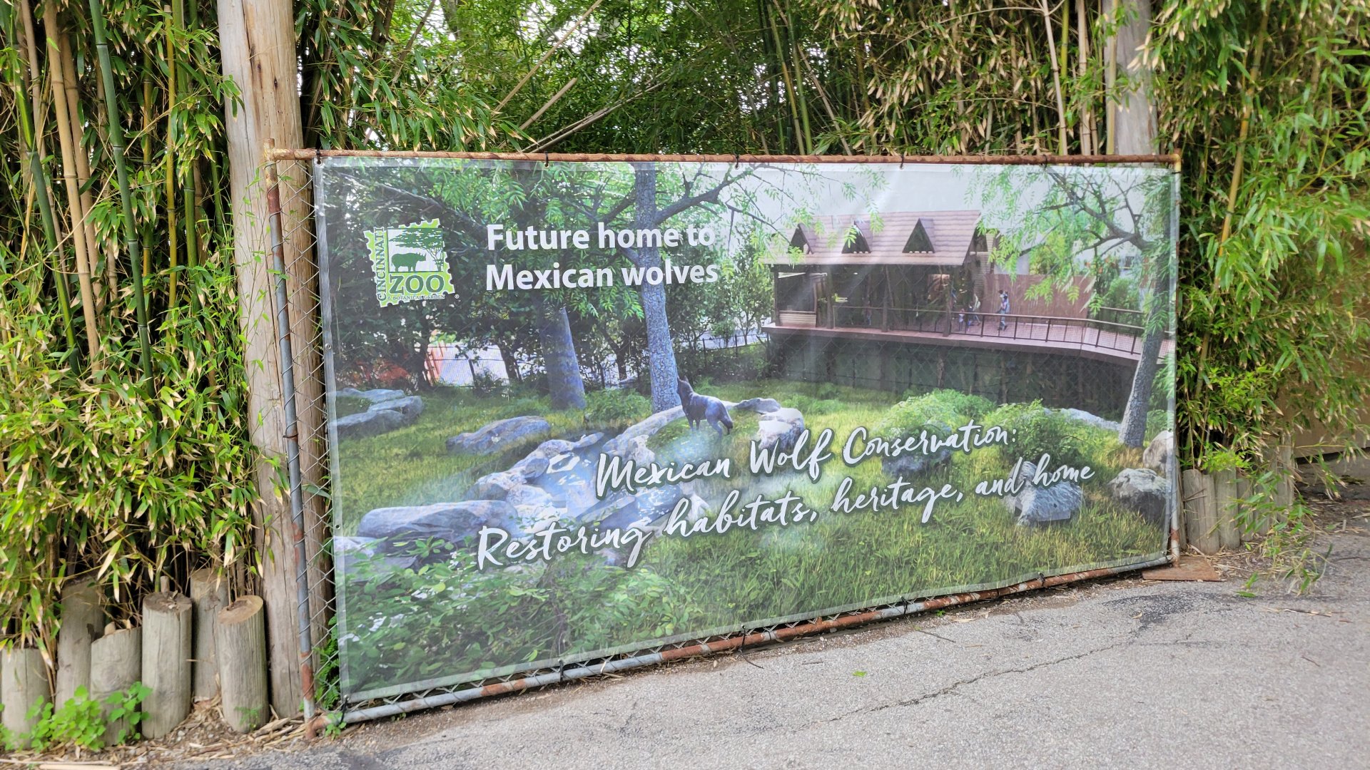 May. 2025 - Future Mexican Wolf Exhibit (Former White Lion)