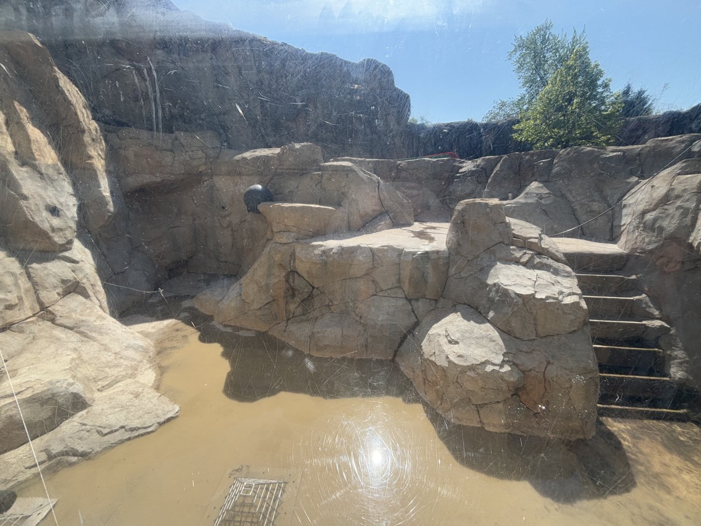 May 2025: Great Bear Wilderness middle yard empty pool