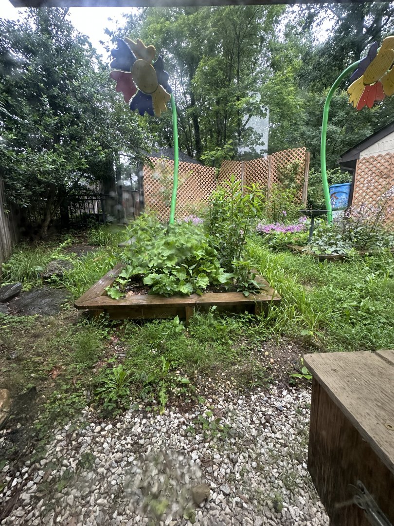 May 2025 - Honey Bee Garden (Empty)