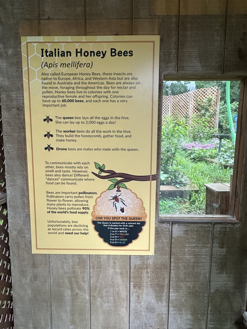 May 2025 - Honey Bee Signage