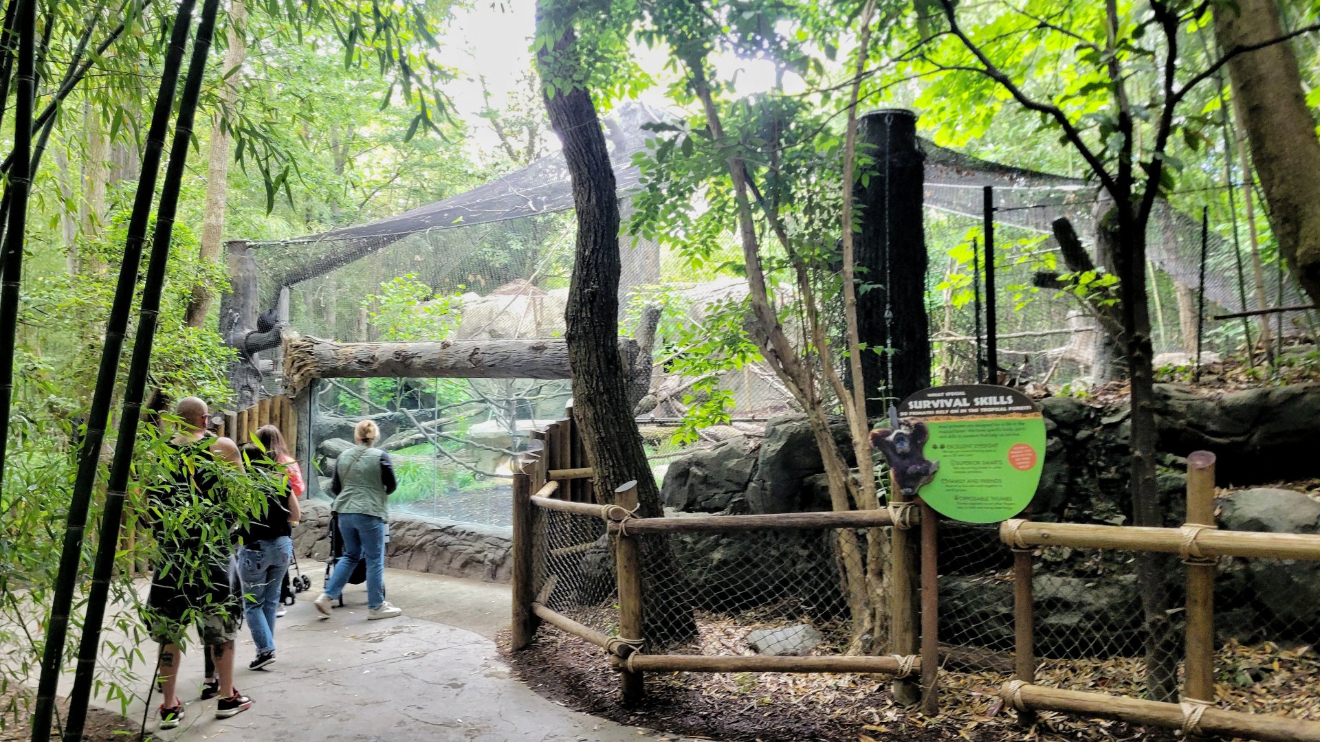May. 2025 - Jungle Trails - NEW! Monkey Exhibit
