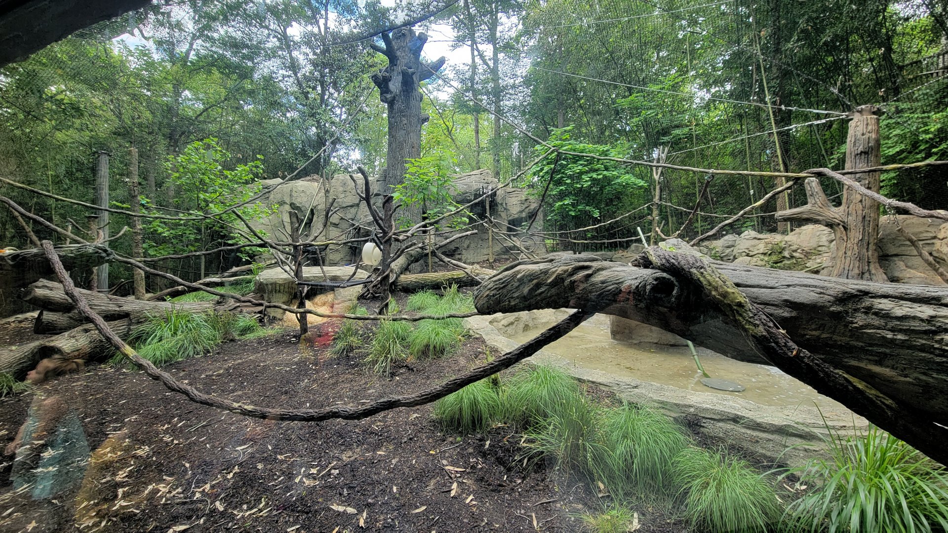 May. 2025 - Jungle Trails - NEW! Monkey Exhibit