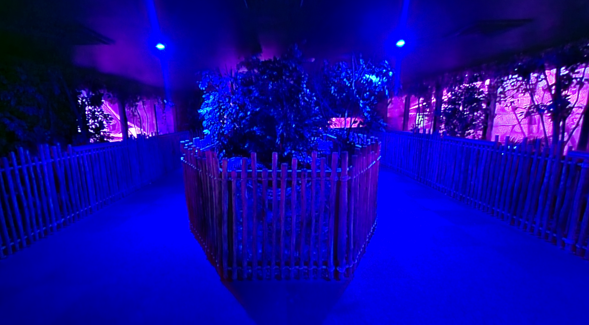 May. 2025 - Kley Memorial Building - Creatures of the Night