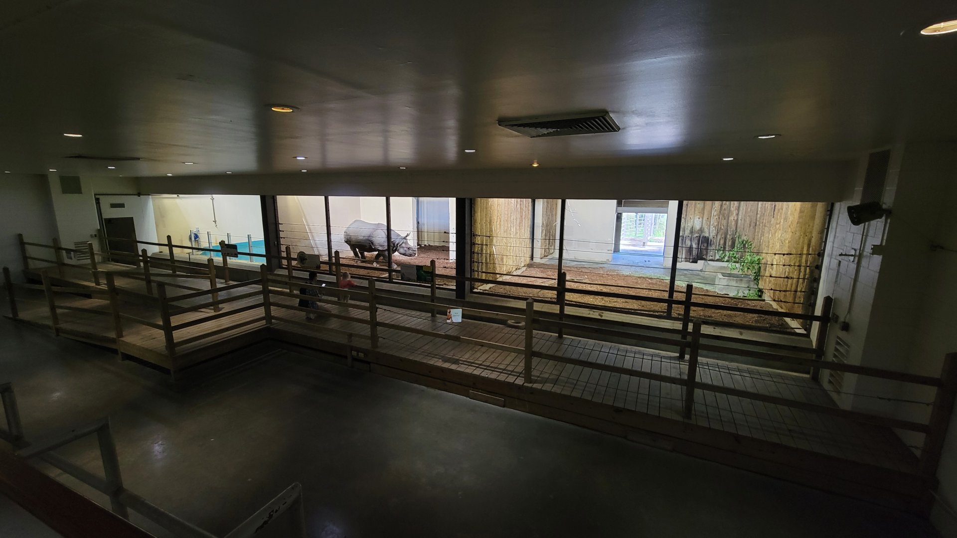 May. 2025 - Kley Memorial Building - Indian Rhino Indoor Exhibits