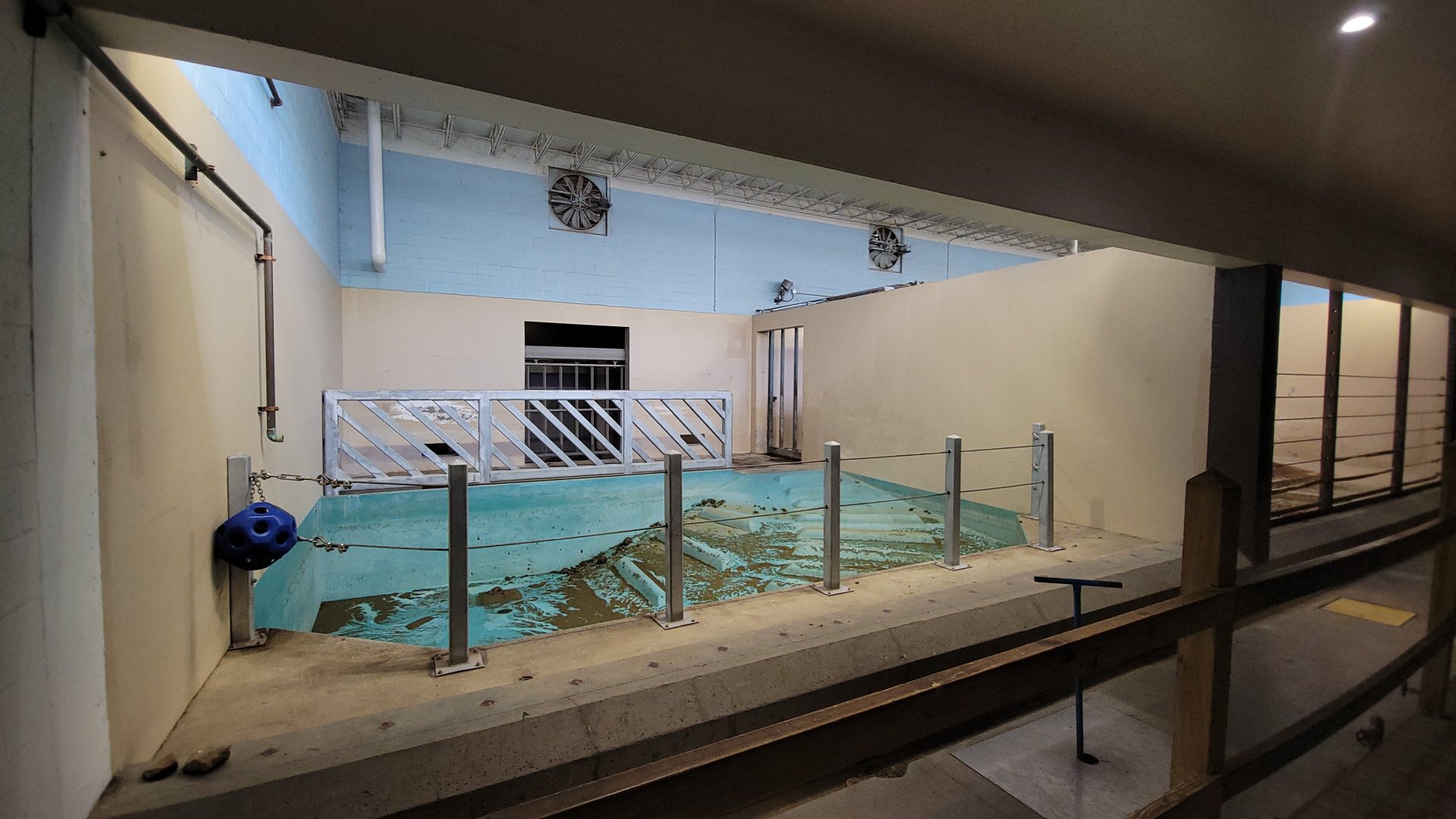 May. 2025 - Kley Memorial Building - Indian Rhino - Left Indoor Exhibit