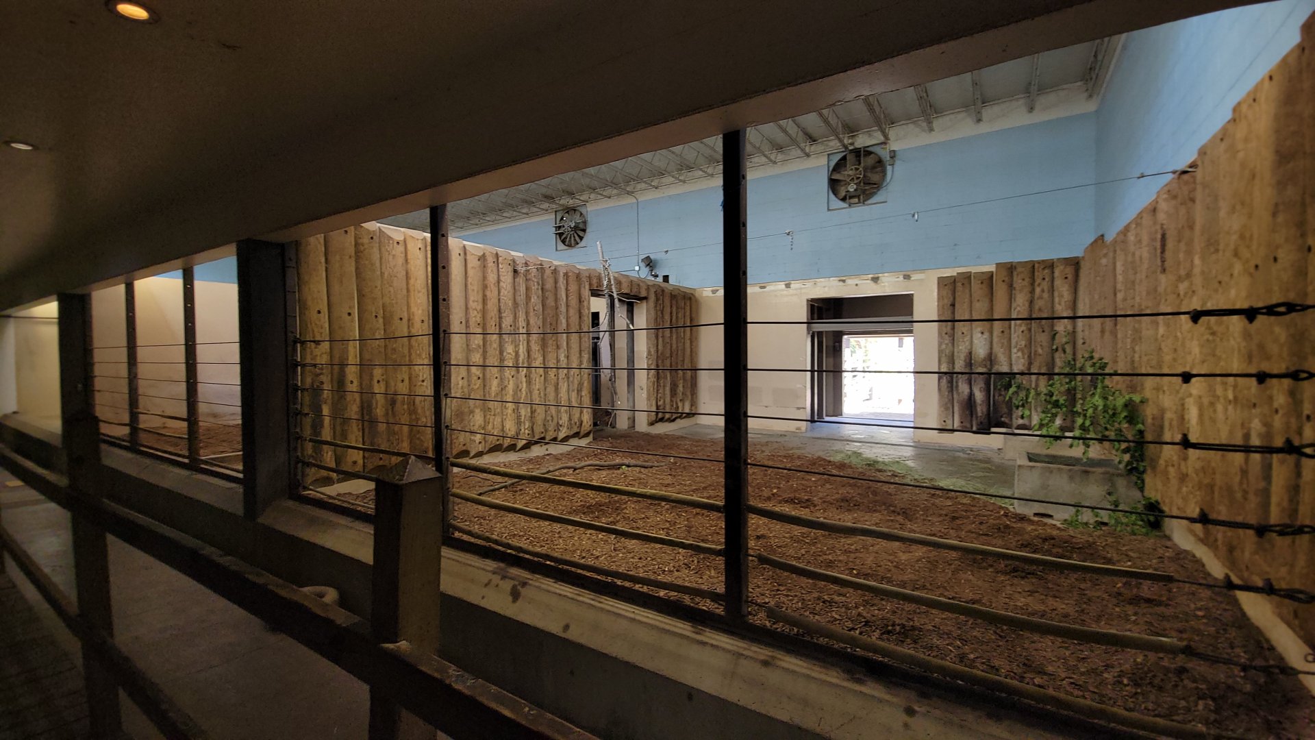 May. 2025 - Kley Memorial Building - Indian Rhino - Right Indoor Exhibit