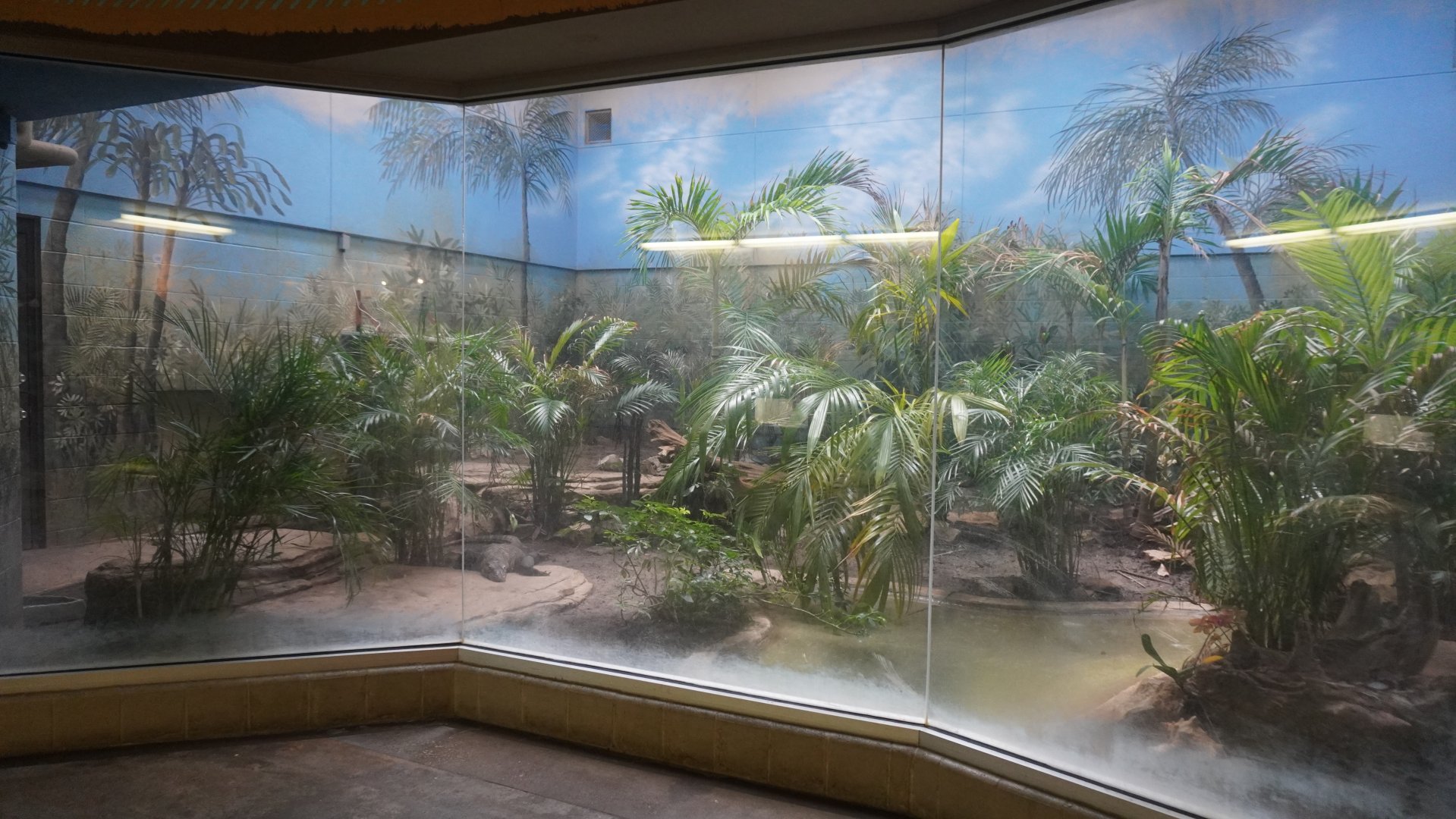 May. 2025 - Kley Memorial Building - Komodo Cove