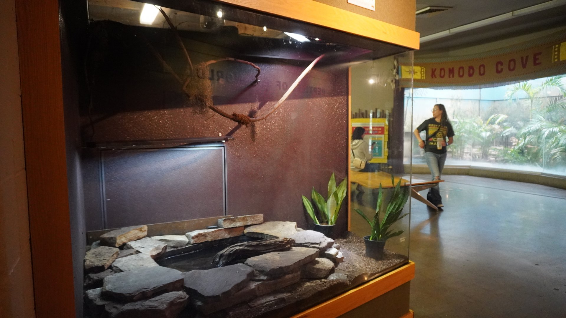May. 2025 - Kley Memorial Building - McCords Box Turtle Exhibit