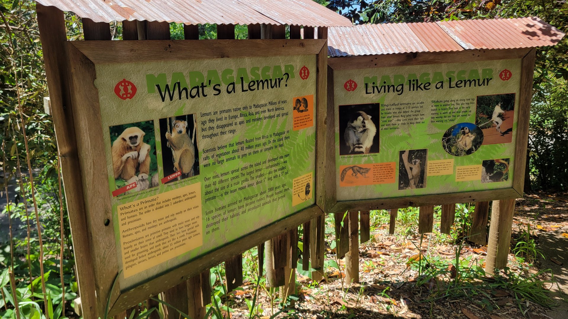 May. 2025 - Lemur Forest - Signage