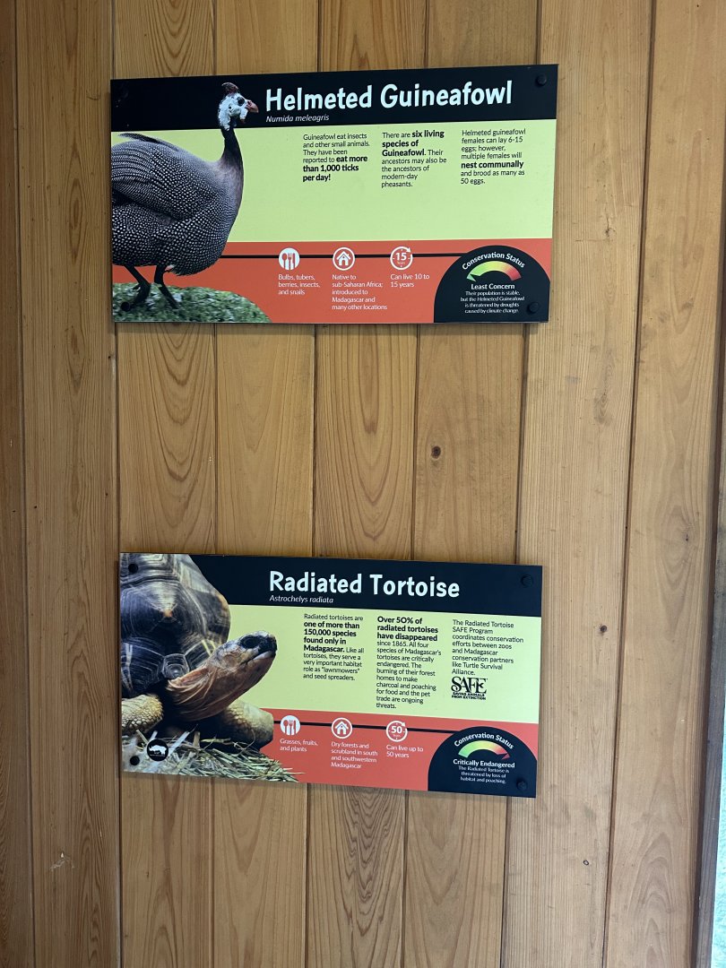 May 2025 - Madagascar - Animal Signage