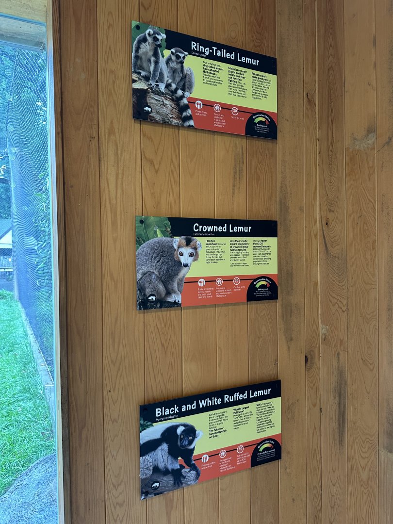 May 2025 - Madagascar - Lemur Signage