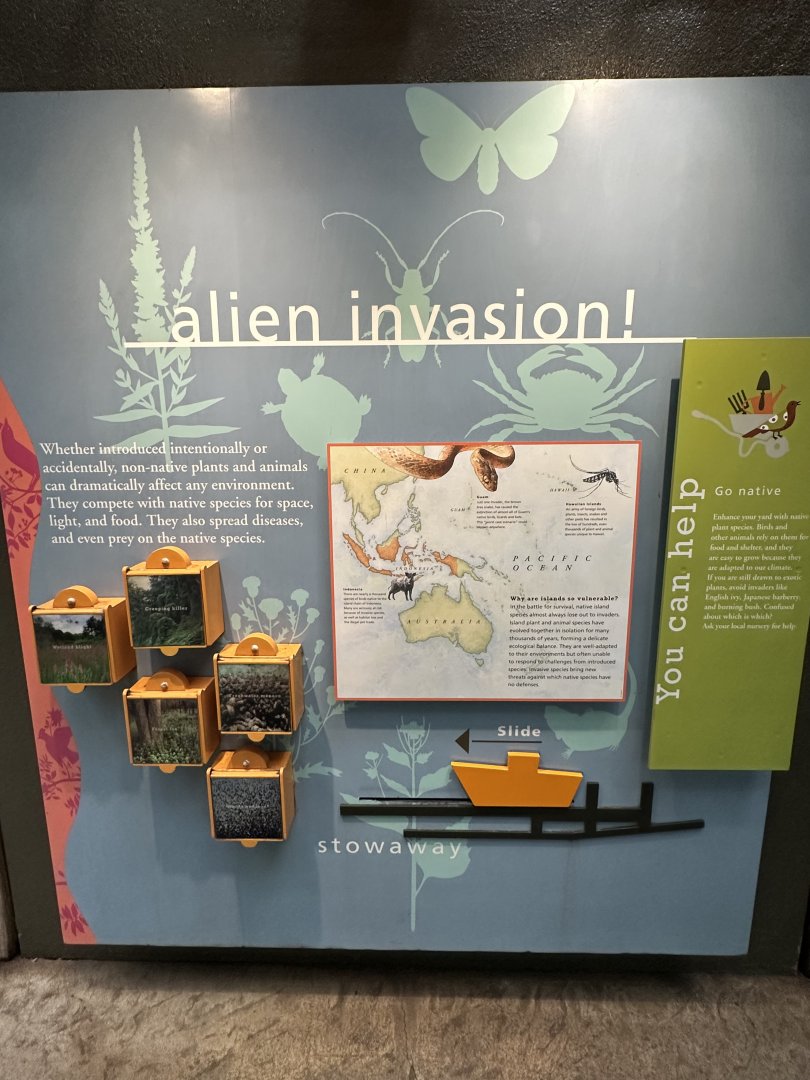 May 2025 - McNeil Avian Center - Alien Signage