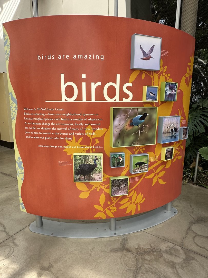 May 2025 - McNeil Avian Center - Atrium Signage
