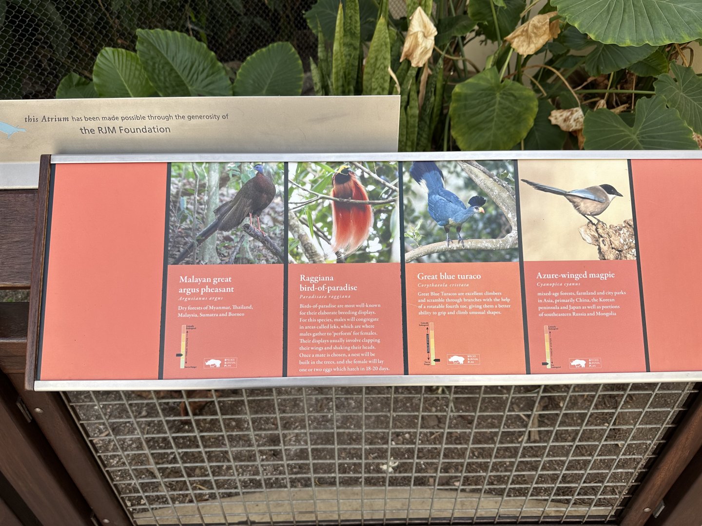 May 2025 - McNeil Avian Center - Atrium Species List