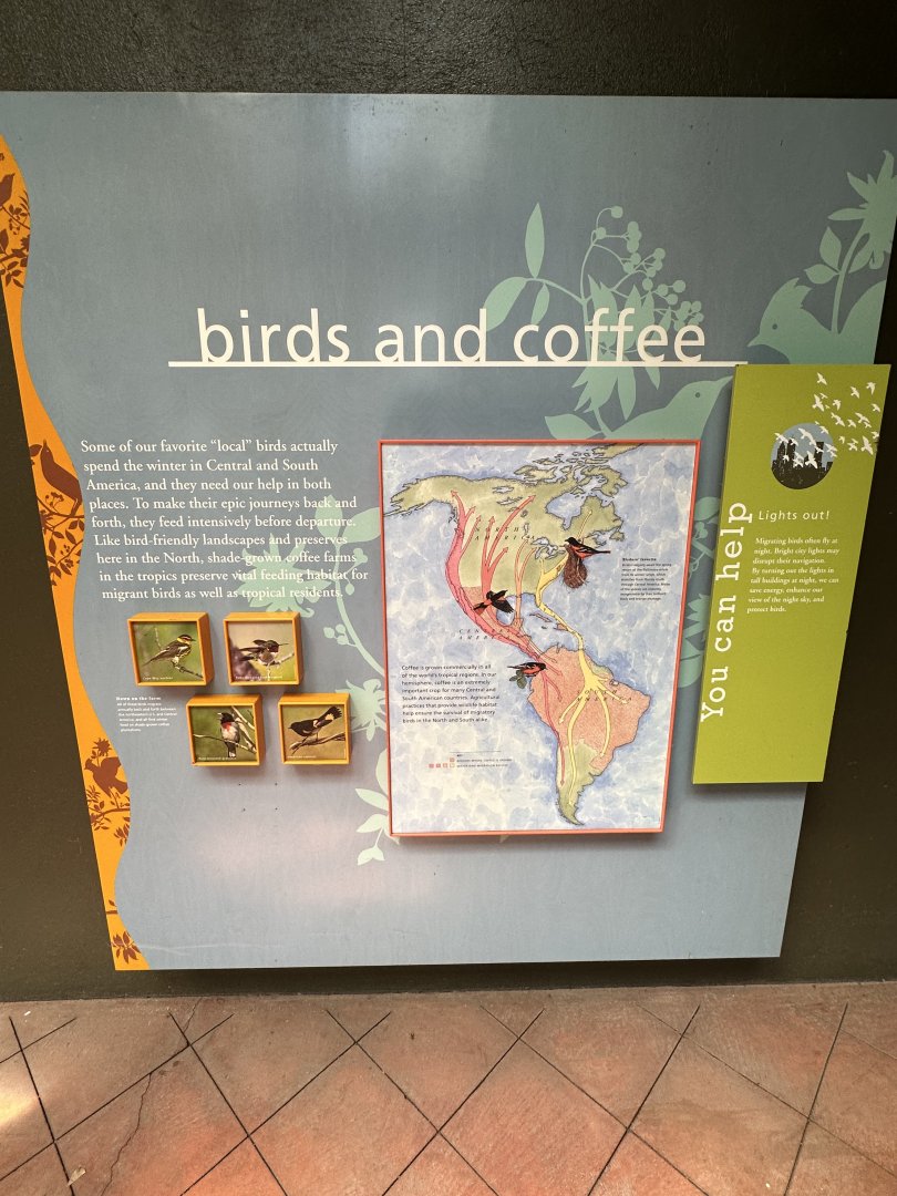 May 2025 - McNeil Avian Center - Coffee Signage