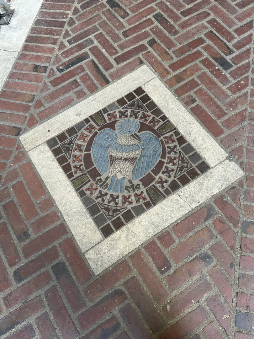 May 2025 - McNeil Avian Center - Kingfisher Mosaic