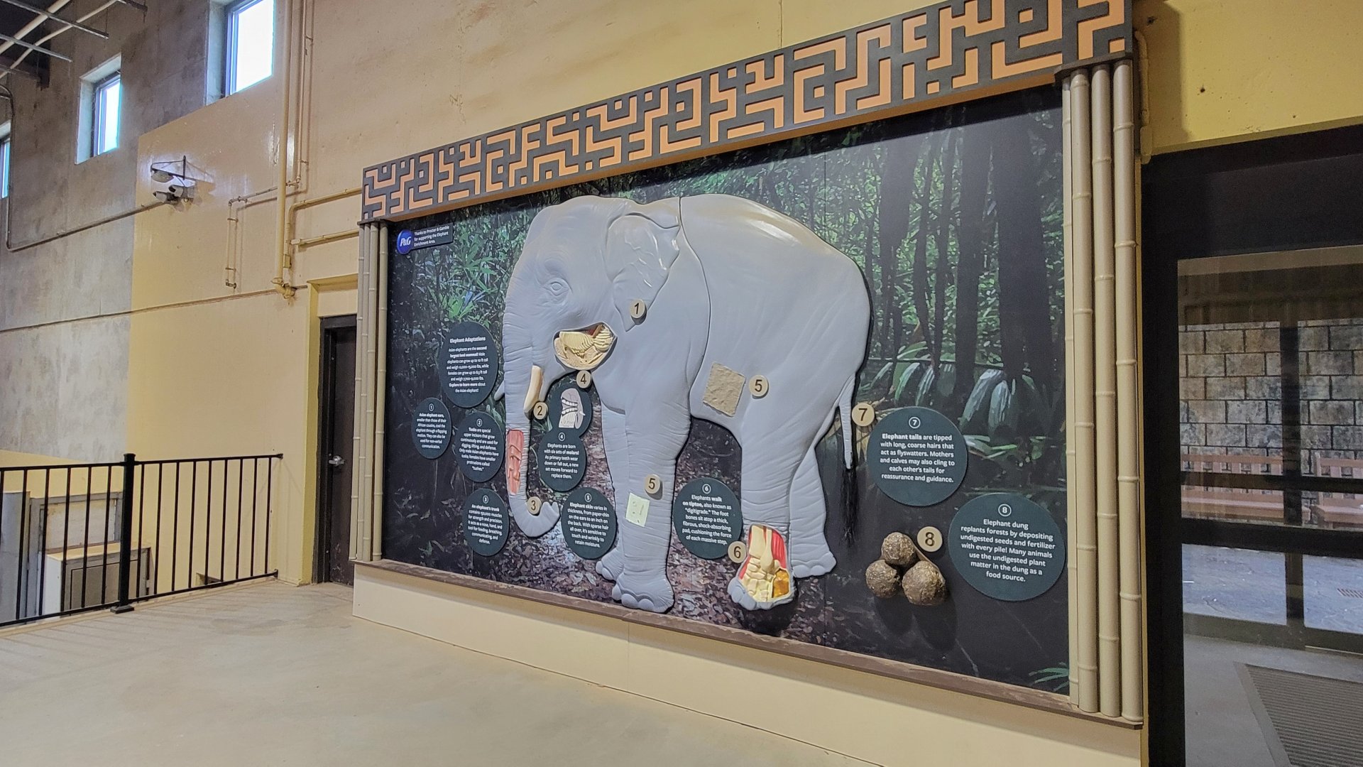 May. 2025 - NEW! Elephant Trek - Elephant Center