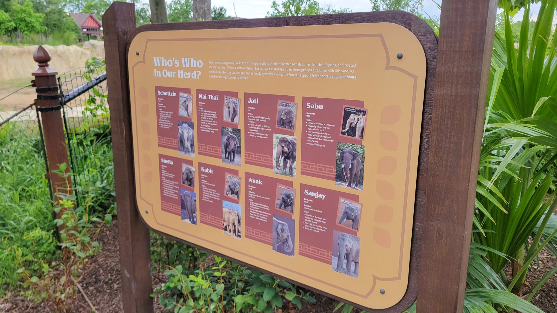 May. 2025 - NEW! Elephant Trek - ID Signage