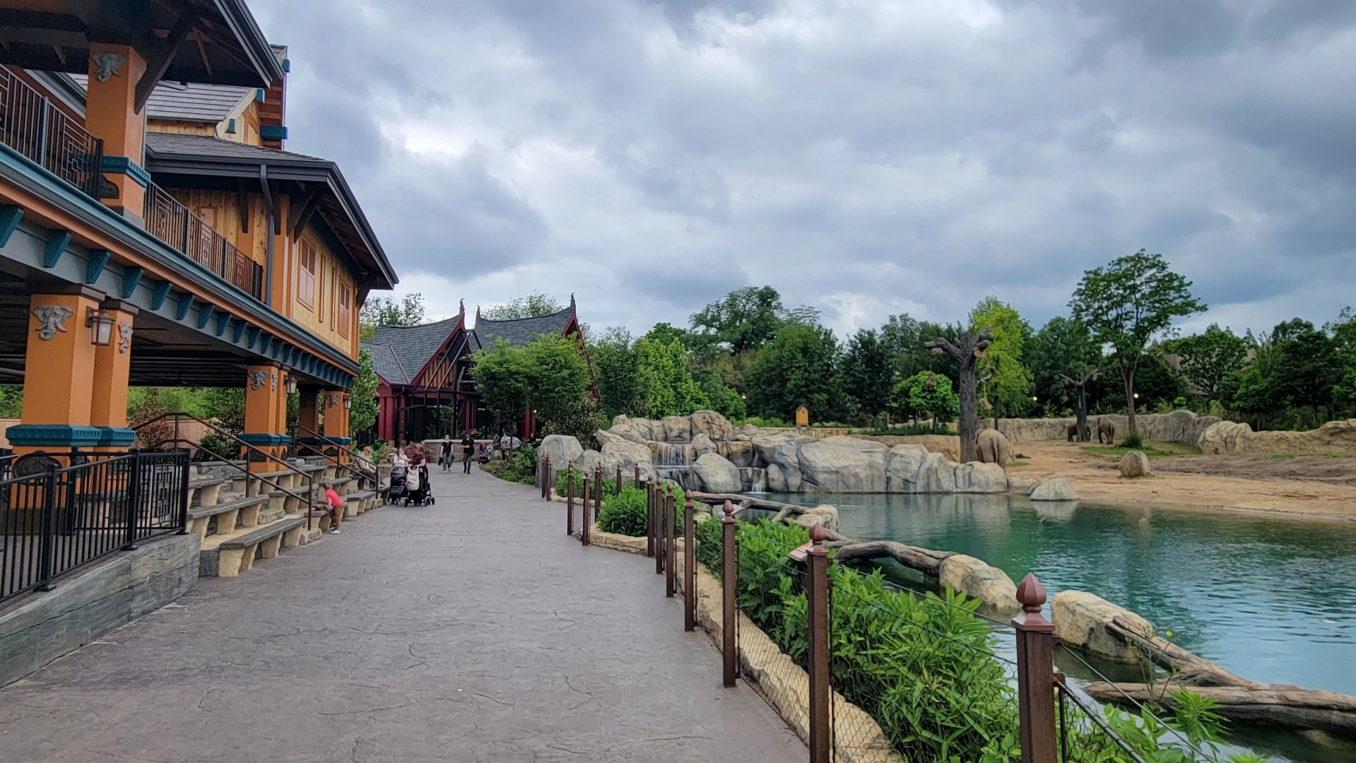 May. 2025 - NEW! Elephant Trek - Main Yard Viewing