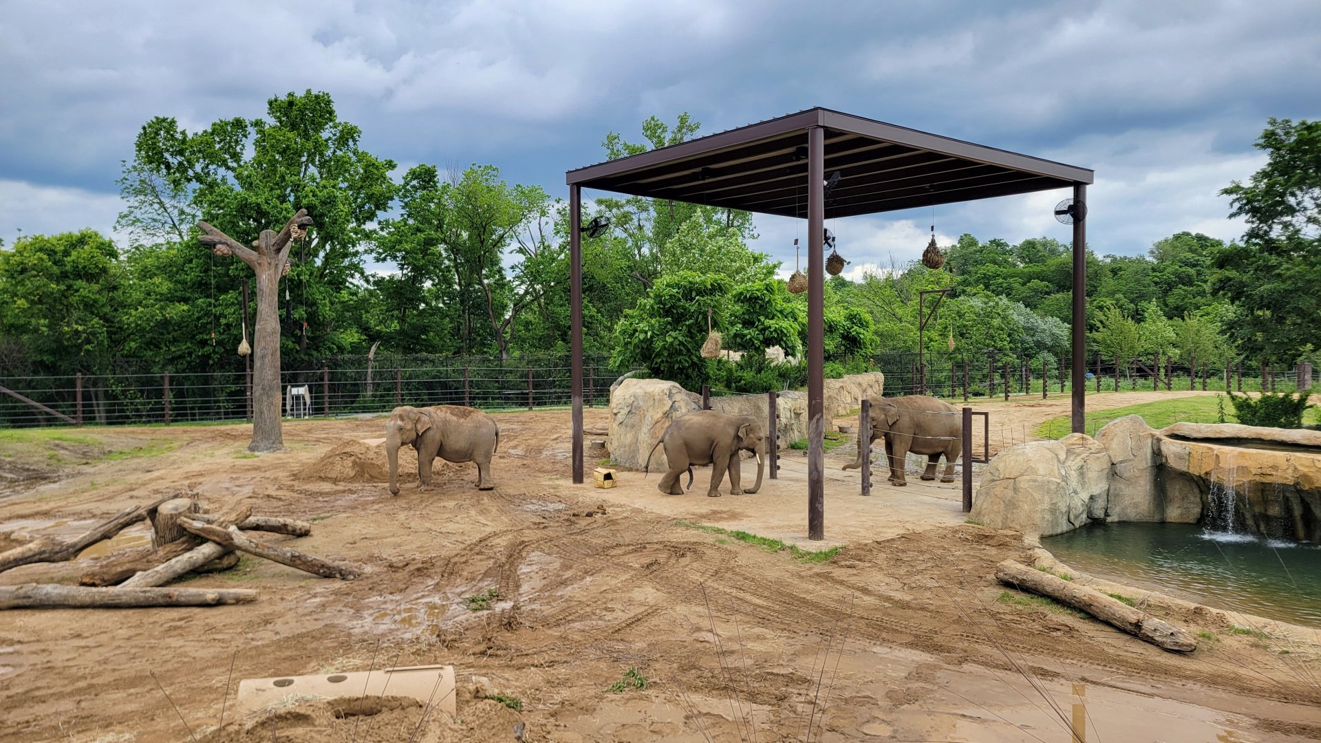 May. 2025 - NEW! Elephant Trek - Secondary Elephant Yard