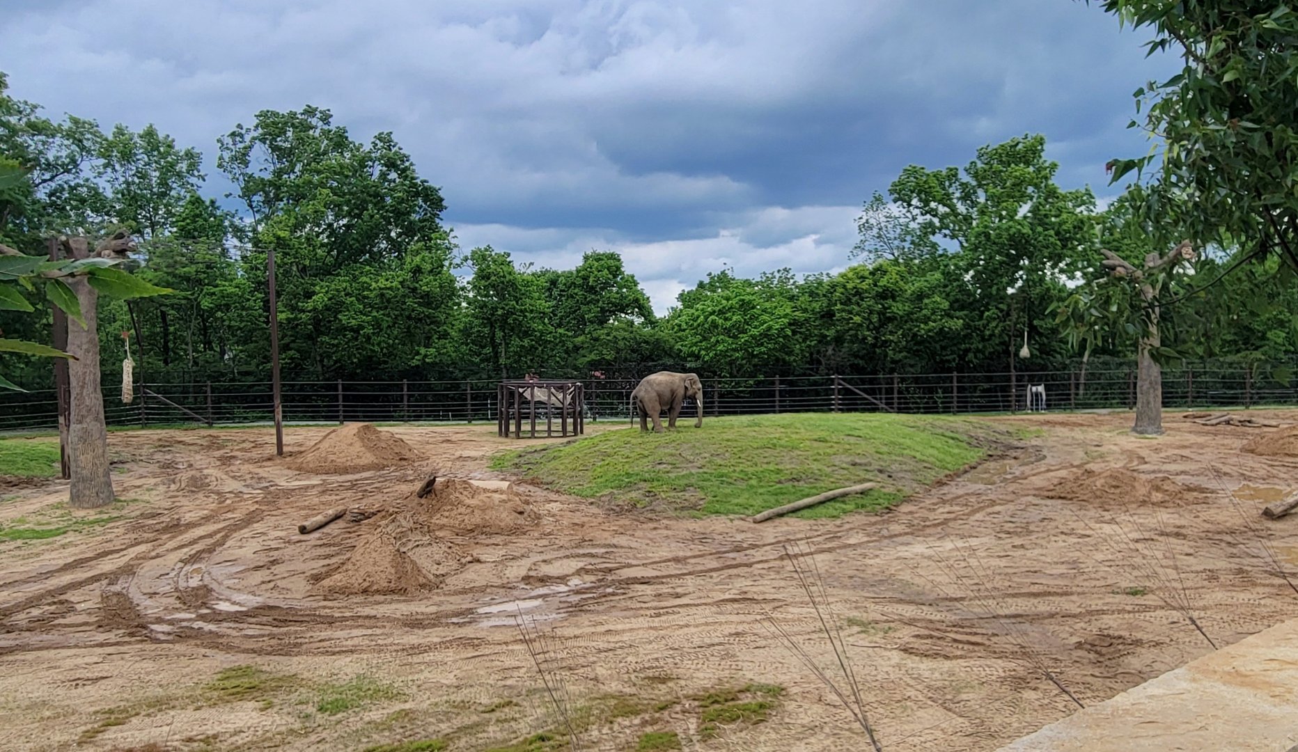 May. 2025 - NEW! Elephant Trek - Secondary Elephant Yard