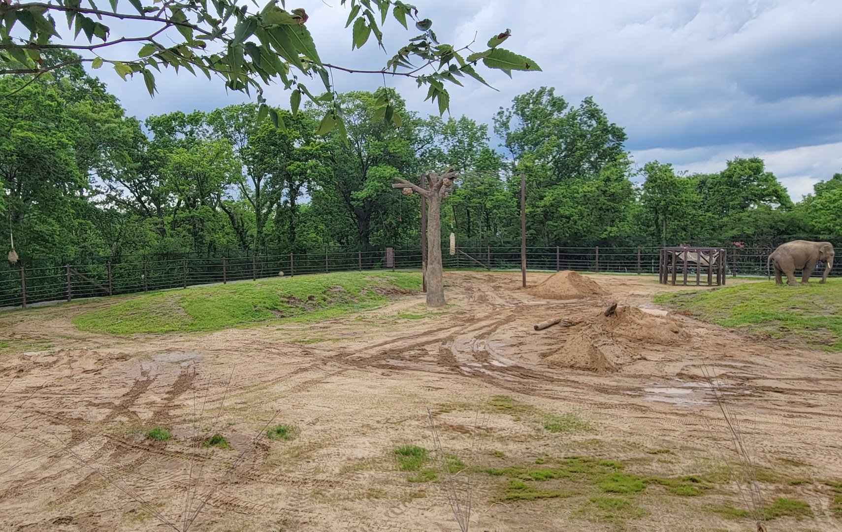 May. 2025 - NEW! Elephant Trek - Secondary Elephant Yard