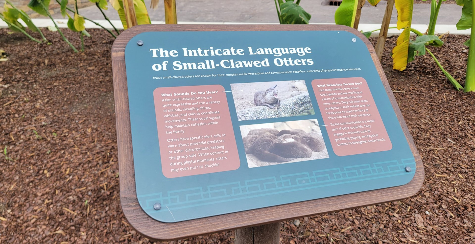 May. 2025 - NEW! Elephant Trek - Siamang Point - Otter Signage