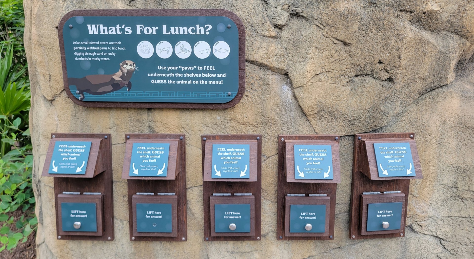 May. 2025 - NEW! Elephant Trek - Siamang Point - Otter Signage