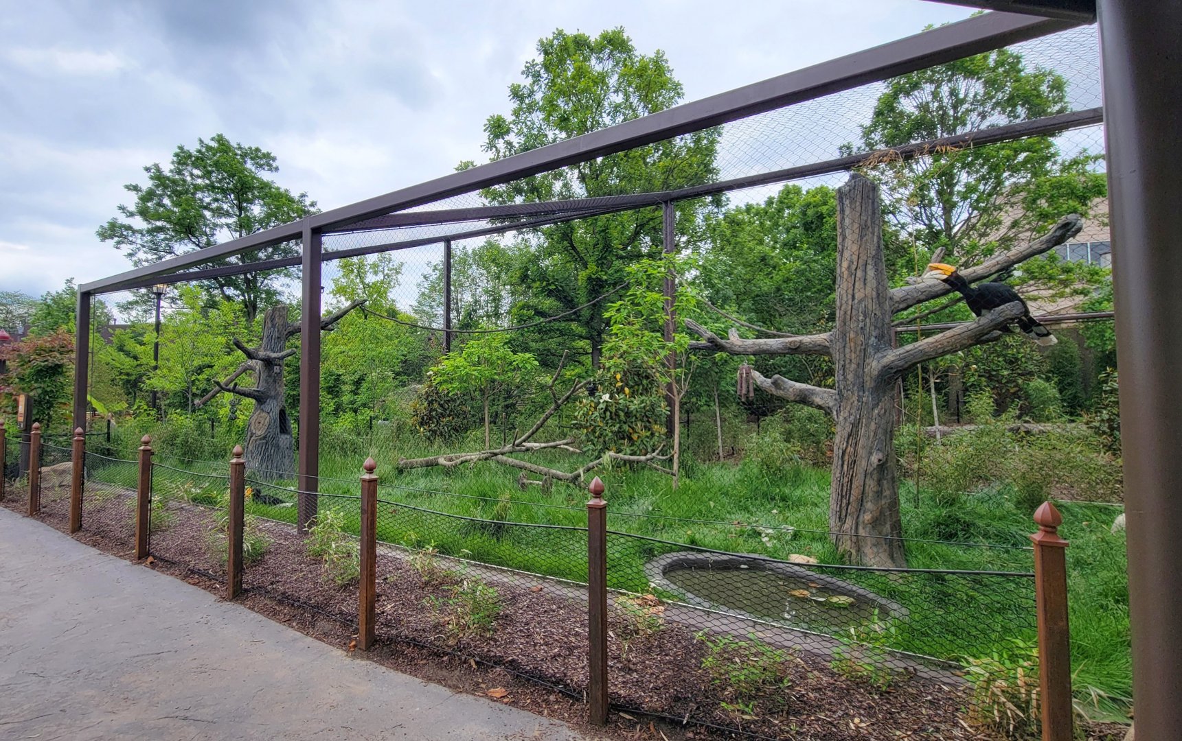 May. 2025 - NEW! Elephant Trek - Siamang Point - Rhinoceros Hornbill Exhibit