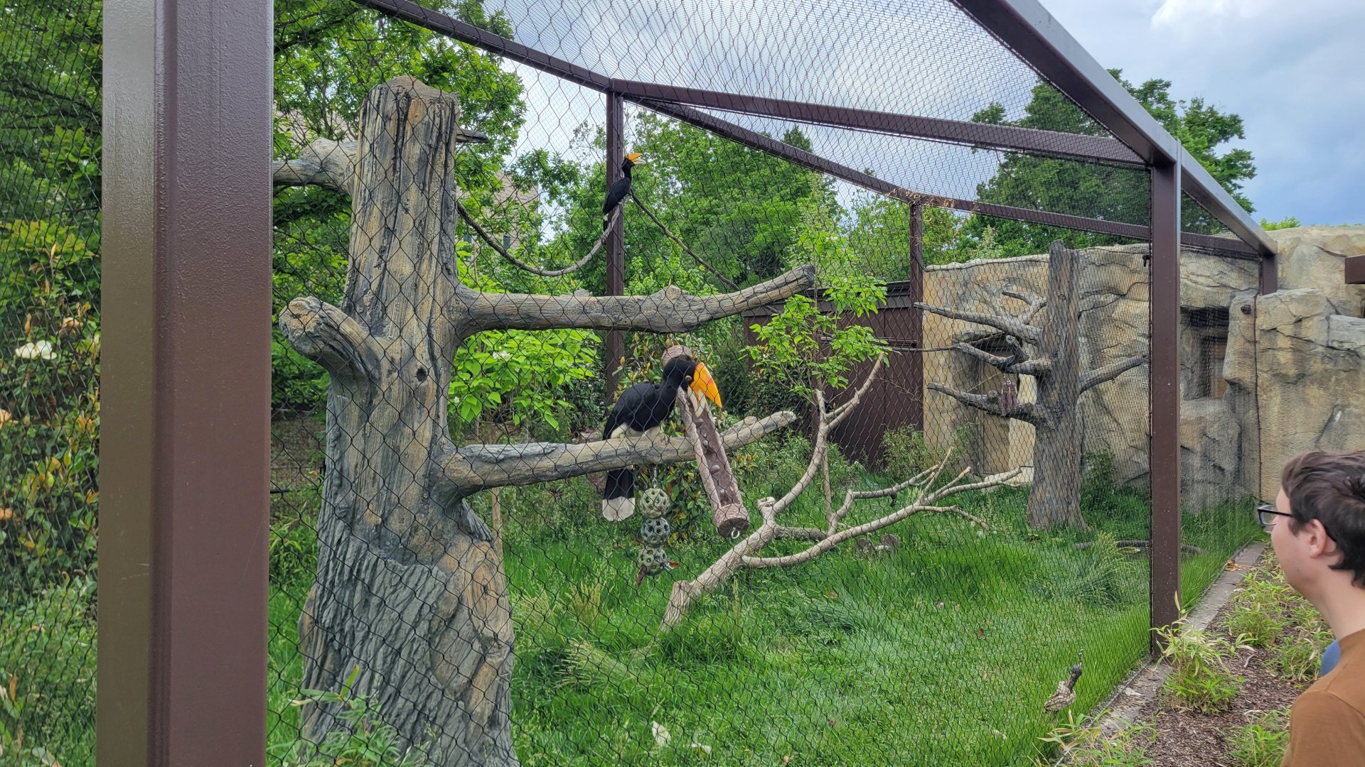 May. 2025 - NEW! Elephant Trek - Siamang Point - Rhinoceros Hornbill Exhibit