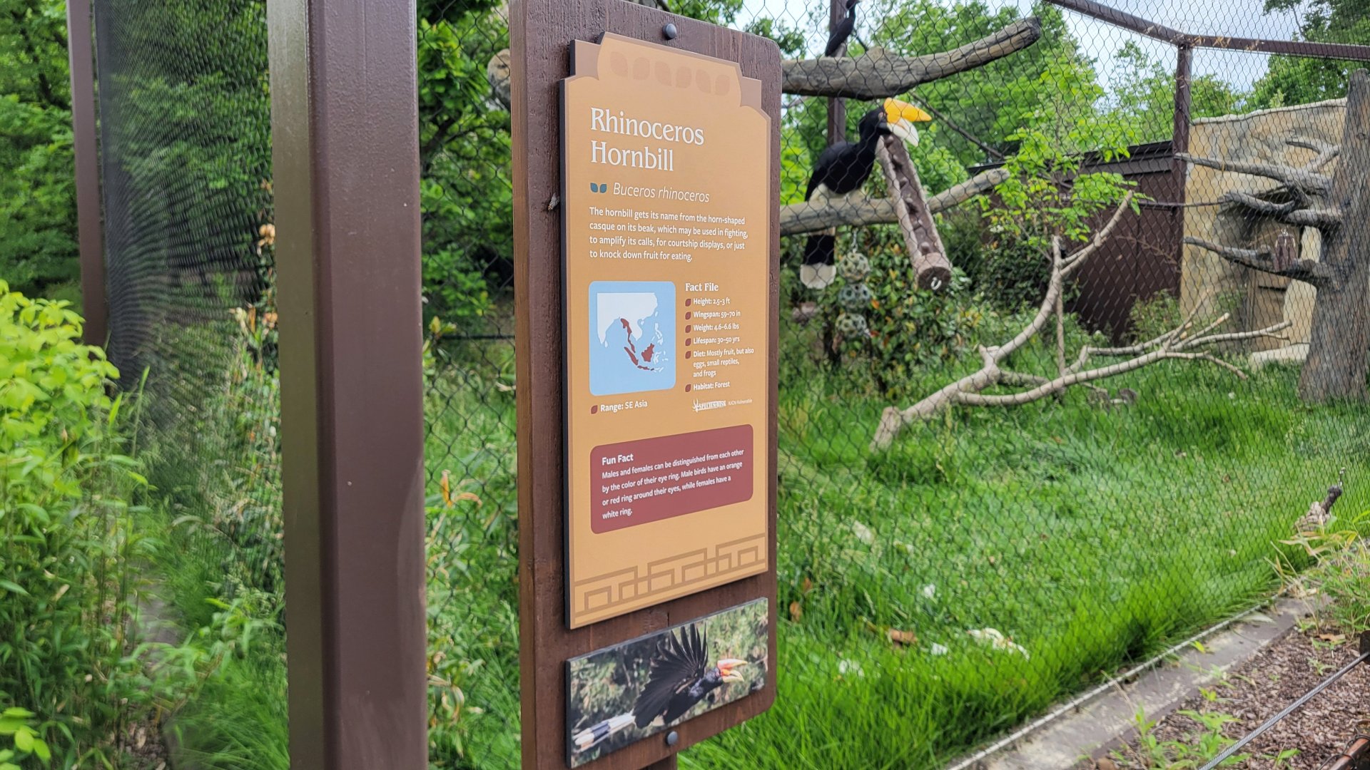 May. 2025 - NEW! Elephant Trek - Siamang Point - Rhinoceros Hornbill Signage