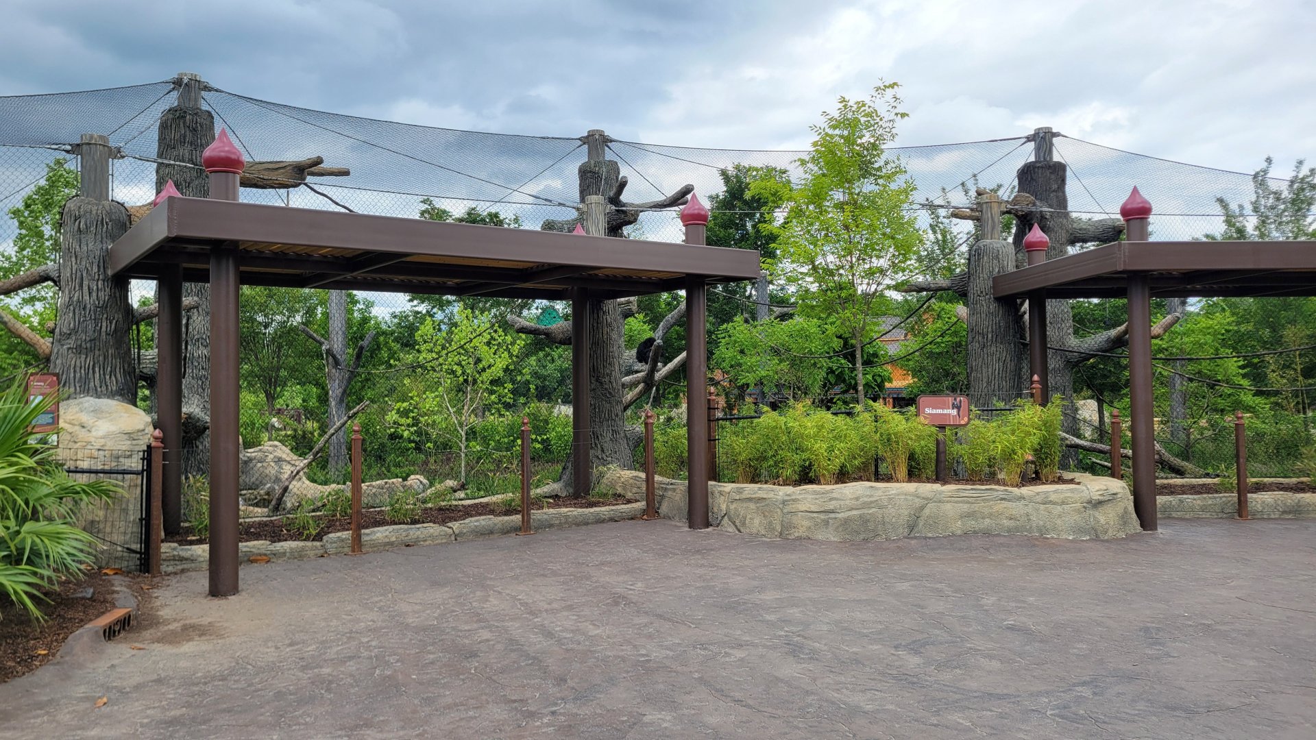 May. 2025 - NEW! Elephant Trek - Siamang Point - Siamang Exhibit