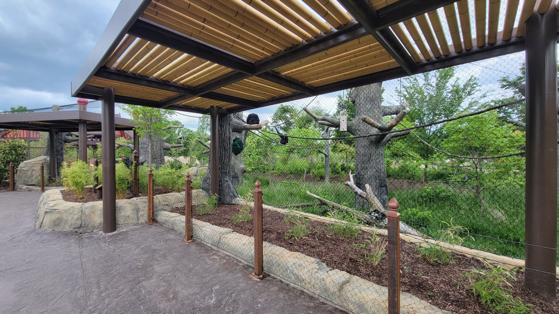 May. 2025 - NEW! Elephant Trek - Siamang Point - Siamang Exhibit