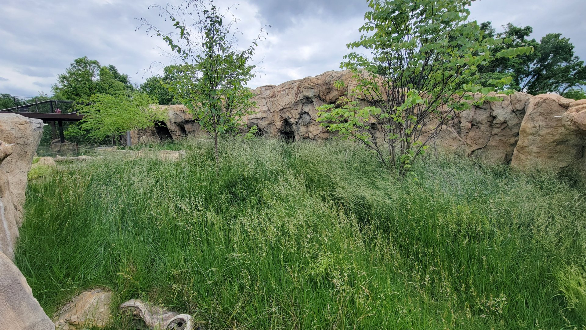 May. 2025 - NEW! Elephant Trek - Siamang Point - Small-clawed Otter Exhibit