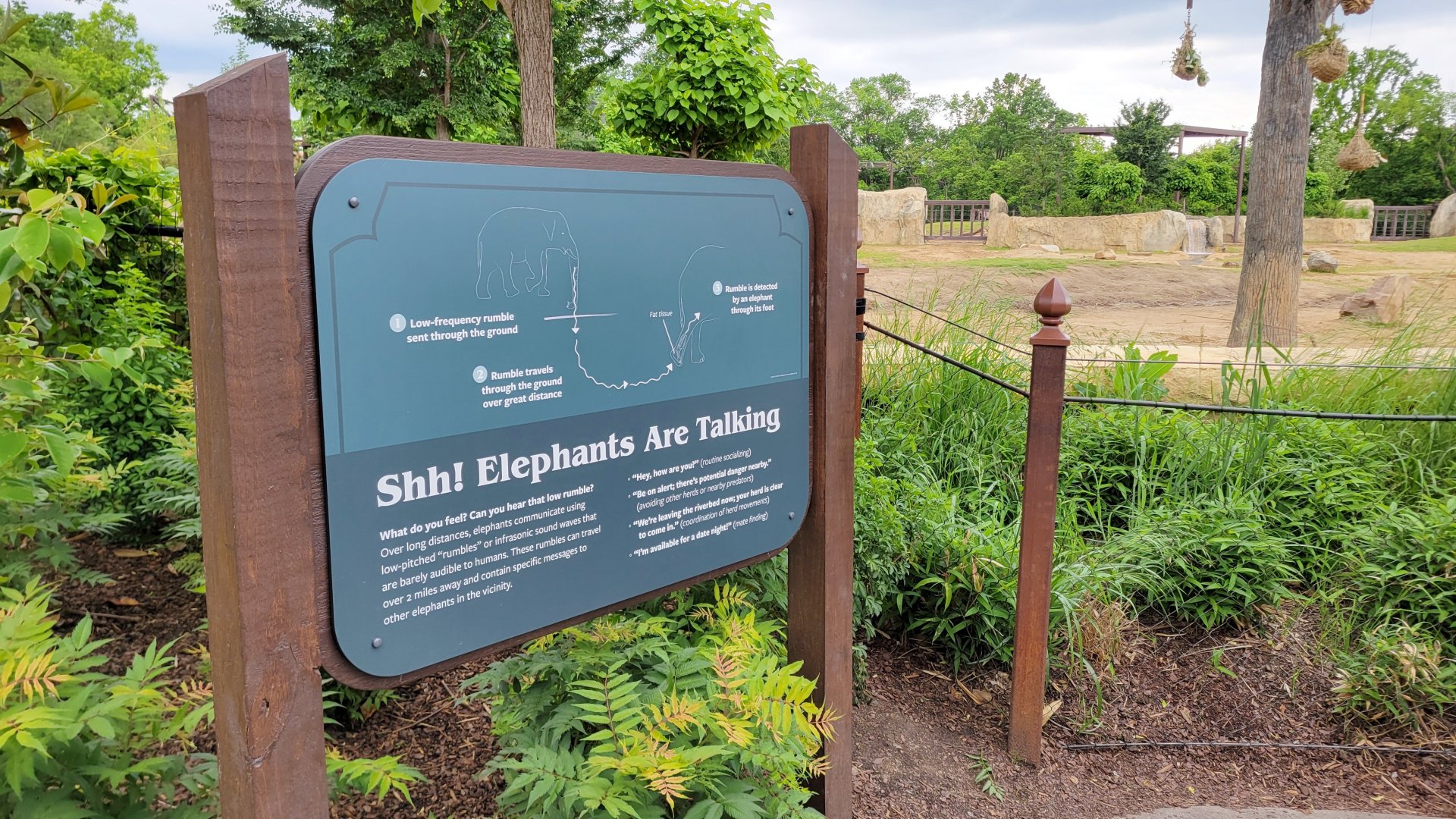 May. 2025 - NEW! Elephant Trek - Signage