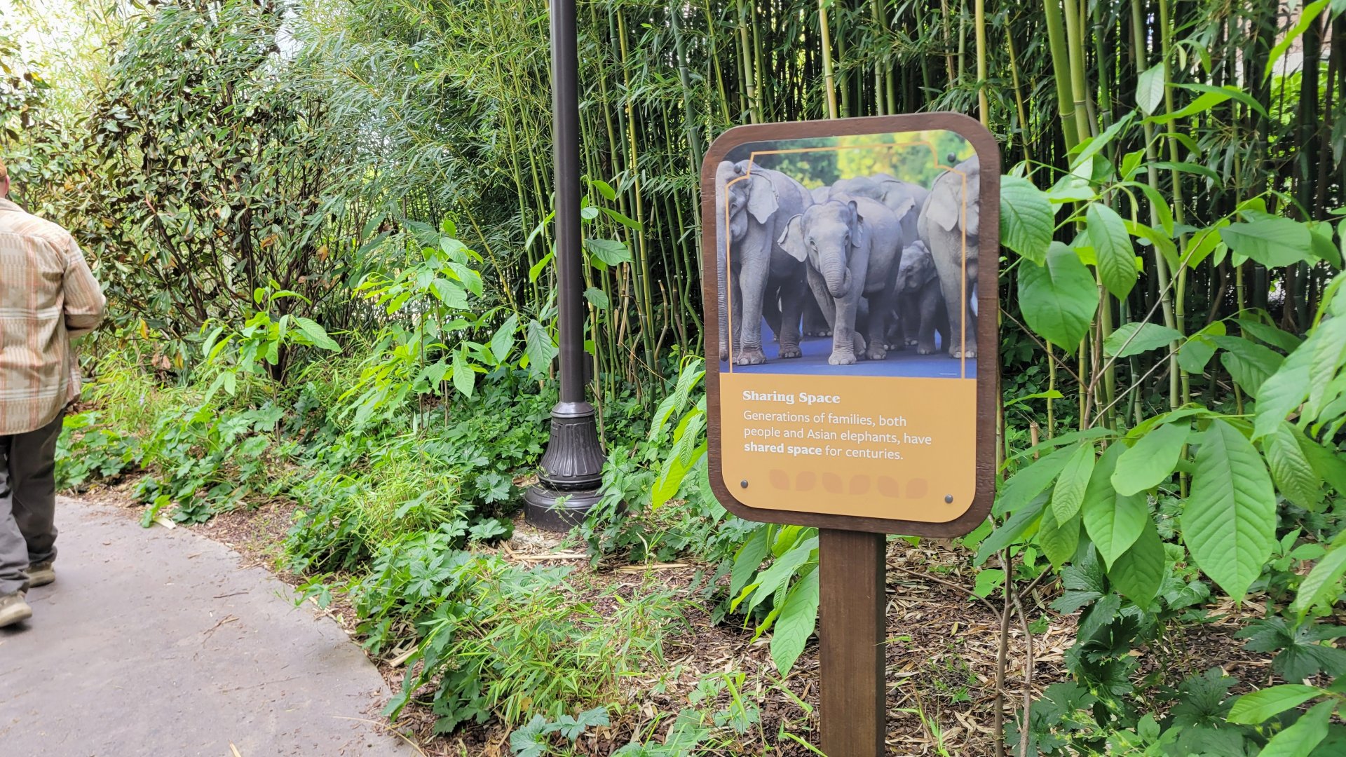 May. 2025 - NEW! Elephant Trek - Signage