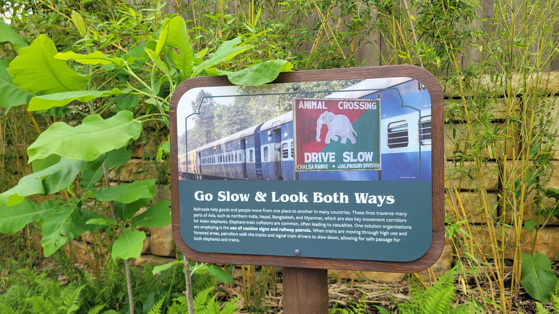 May. 2025 - NEW! Elephant Trek