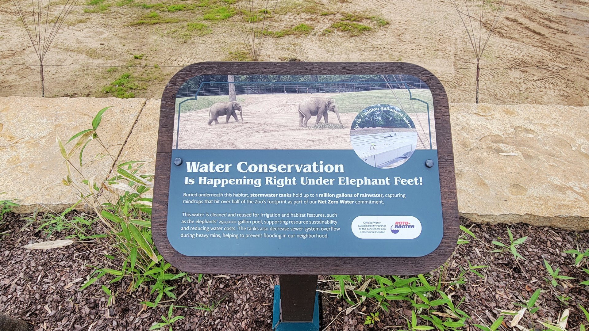 May. 2025 - NEW! Elephant Trek